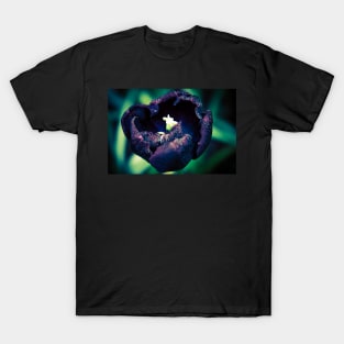 Deep Purple Tulip T-Shirt